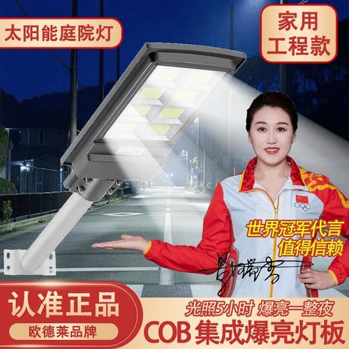 欧德莱照明升级太阳能路灯庭院灯感应遥控防水led灯家用室外超亮