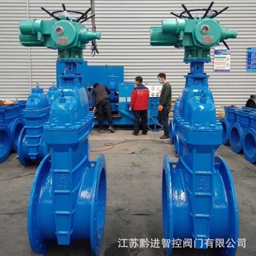 黔进 走水Z945X-16Q DN600法兰电动暗杆闸阀 番茄厂污水废水排放