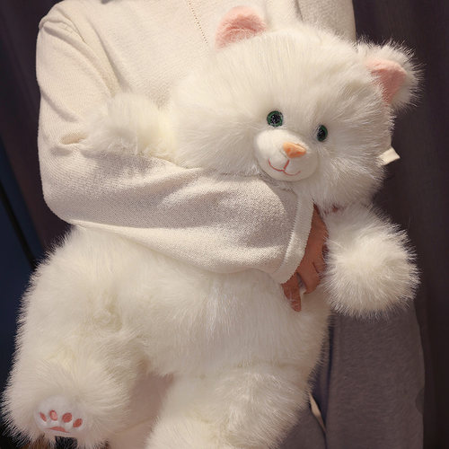 可爱猫咪玩偶小猫毛绒玩具女孩抱着睡H觉公仔儿童节礼物布娃娃抱