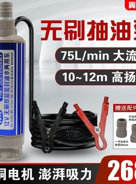 新款直流12V大功率无刷抽油泵24v抽水泵高扬程小型自吸潜水泵268w