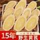 甘肃岷县正宗野生黄芪片正品 中药材特级北芪官方旗舰店泡水当归