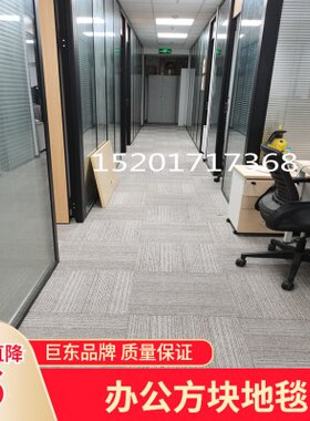 办公室地毯满铺商用加厚方块拼接50x50cm房间卧室耐脏耐磨地毯