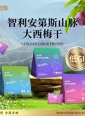 滋滋果 西梅干0添加蔗糖孕妇缓解孕吐小零食无核梅子果干 非有机