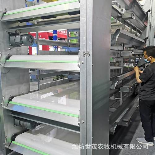 蛋鸡笼养 自动化养殖蛋鸡笼 鸡笼 框架笼 四层蛋鸡笼养
