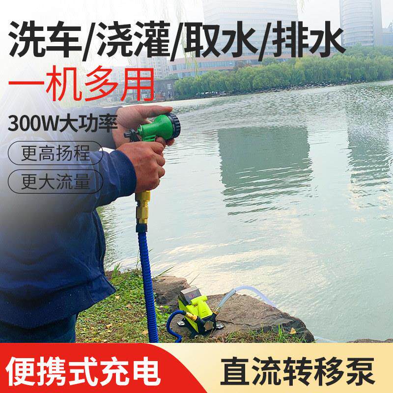 小型抽水泵便携式户外浇菜洗车喷雾喷灌浇花20v花园锂电转移泵