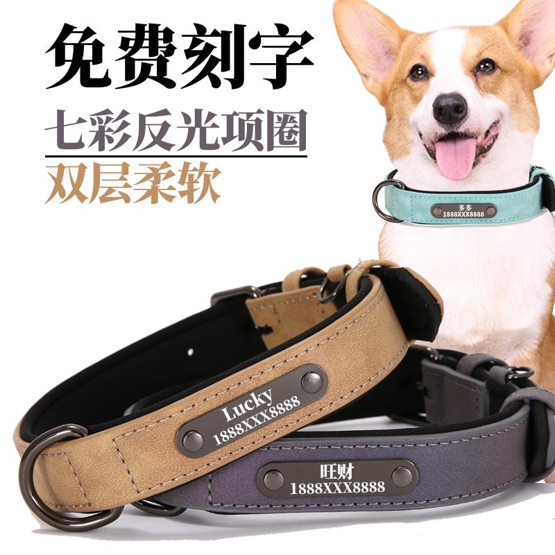 反光狗狗项圈绳子刻字猫牌脖圈小型犬中型犬宠物猫咪狗牌定制防丢