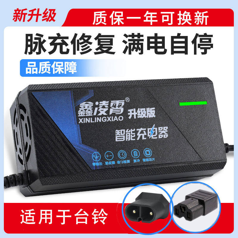 适用新国台铃两孔电动车充电器48V20AH60V72V20AH96V12AH三