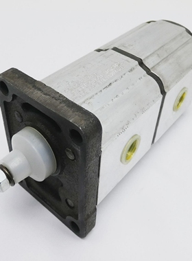 OTOilTechnologyOT100P7979D/G18P1PS1207108DZahnradpump