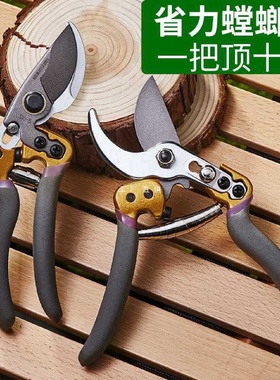 6E3X德国进口工艺修枝剪SK5园艺剪刀剪树枝剪刀剪果树修花枝