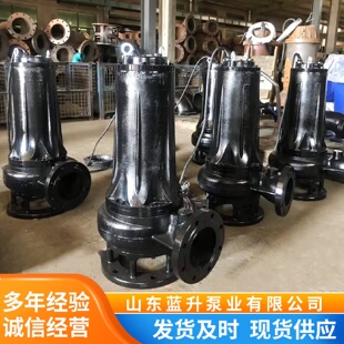 潜水排污泵污水泵耦合qw不锈钢化粪池搅匀切割潜污泵