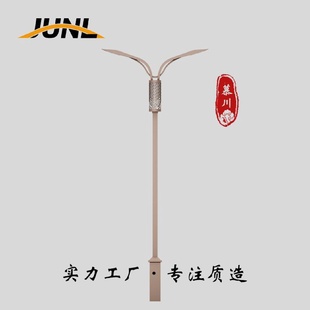 8米12米路灯LED单臂双臂双头双挑市电路灯道路照明灯路灯杆