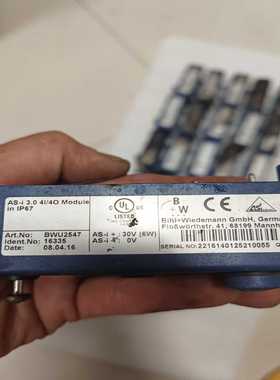 【请询价】Bihl+Wiedemann必威 BWU2594    BW