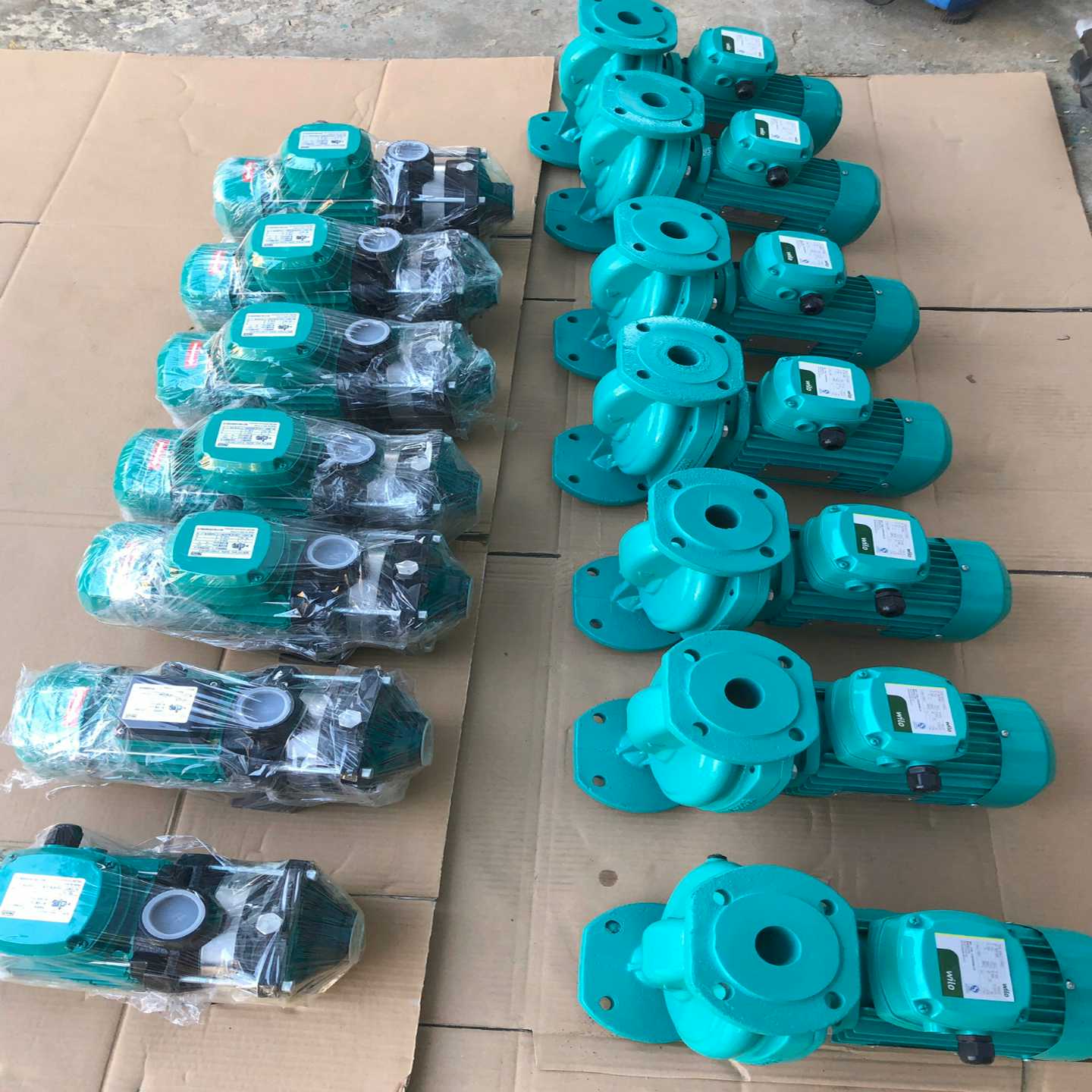 德国Wilo威乐热水循环泵HiPH3-1100EH/QH家用--议价商品