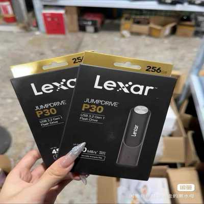 雷克沙P30固态U盘，256GB大容量，USB3.2Gen--议价商品