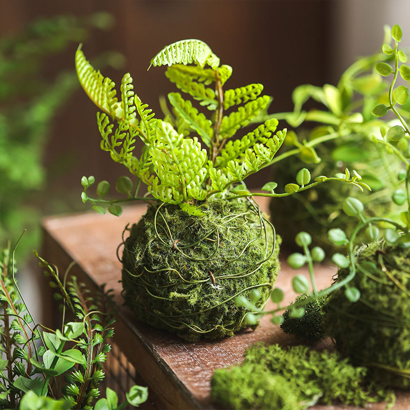蕨叶小草球仿真苔藓球造景装饰摆件仿真绿植室内家居饰小