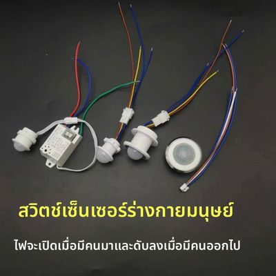 220v红外线人体感应器开关小头嵌暗装探头楼道智能LED灯延时模块