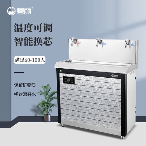 广东碧丽饮水机滤芯商用-35一开两温温热校园车间两用开水机