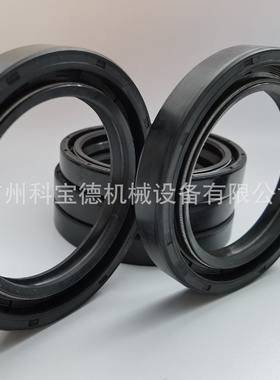 65377656938396360675双面弹簧油封STAFFA液压马达用油封