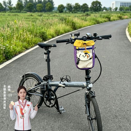 适用dahon大行折叠自行车挂包