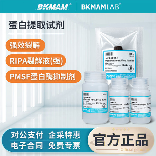 比克曼生物RIPA裂解液强蛋白提取