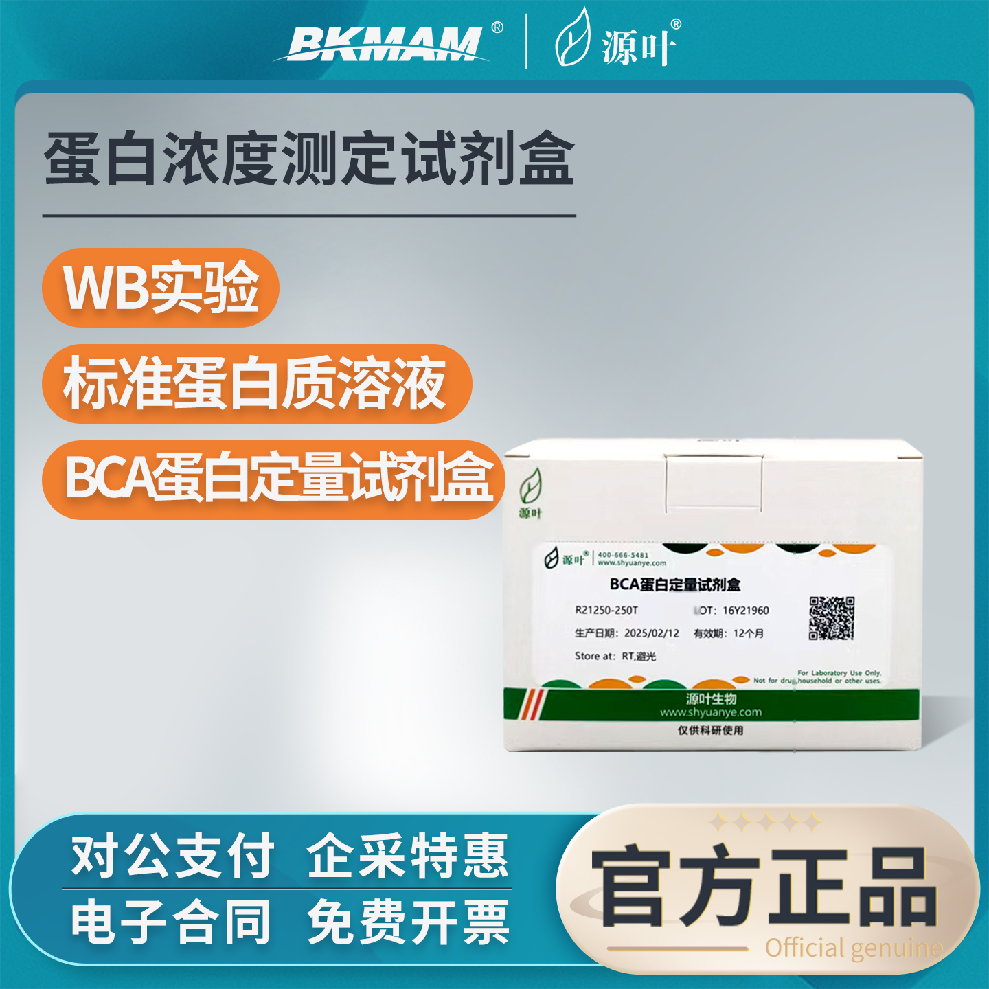 源叶蛋白浓度测定试剂盒