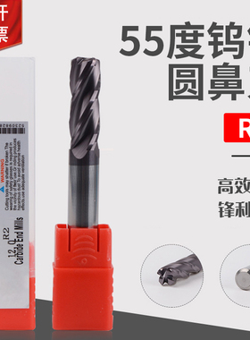 55度钨钢刀R2圆鼻刀6R2 8R2 10R2 12R2 16R2 100/150L加长牛鼻刀