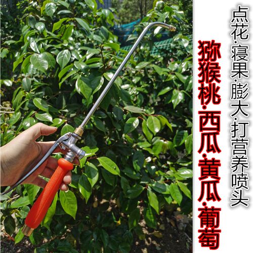 电动喷雾器果树喷涂柑橘火龙果喷头雾化奇异果膨大葡萄樱桃点花