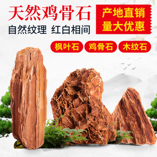 微景观附石盆景假山石鸡骨石木纹石枫叶石天然原石石头造景小摆件