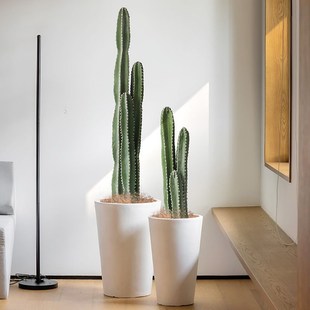 仿真仙人掌绿植盆栽装饰仿生热带沙漠植物商场室外造景摆件仙人柱