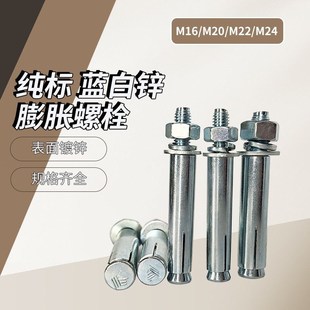 蓝白锌 M22 盒装 M20 M24 M16 国标膨胀螺丝天猴纯标膨胀螺栓