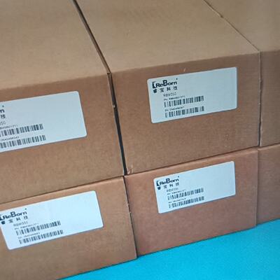询-睿宝科技真空计RBMB350型号RBM35013T110
