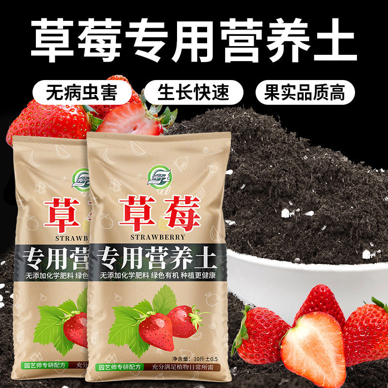 草莓专用营养土瓜果树通用土壤草莓盆栽种植土阳台有机土肥料