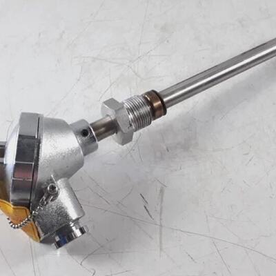 Daeyang Instrument TTRSD 600C Resistance Bulb Pt 100  Class