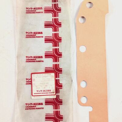 Emballage PN 14161601840 Pour Yanmar S165 Pices DOrigine Paq