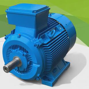 14BG2532AB90Z motore elettrico trifase 55kW 60Hz B3