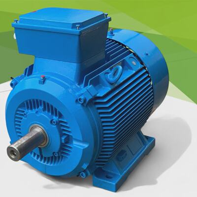 14BG2532AB90Z motore elettrico trifase 55kW 60Hz B3