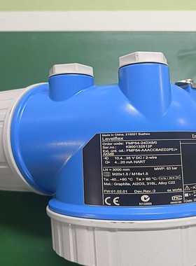 EH分体式高温导波雷达FMP54-24DX9/0(亚飞商行）