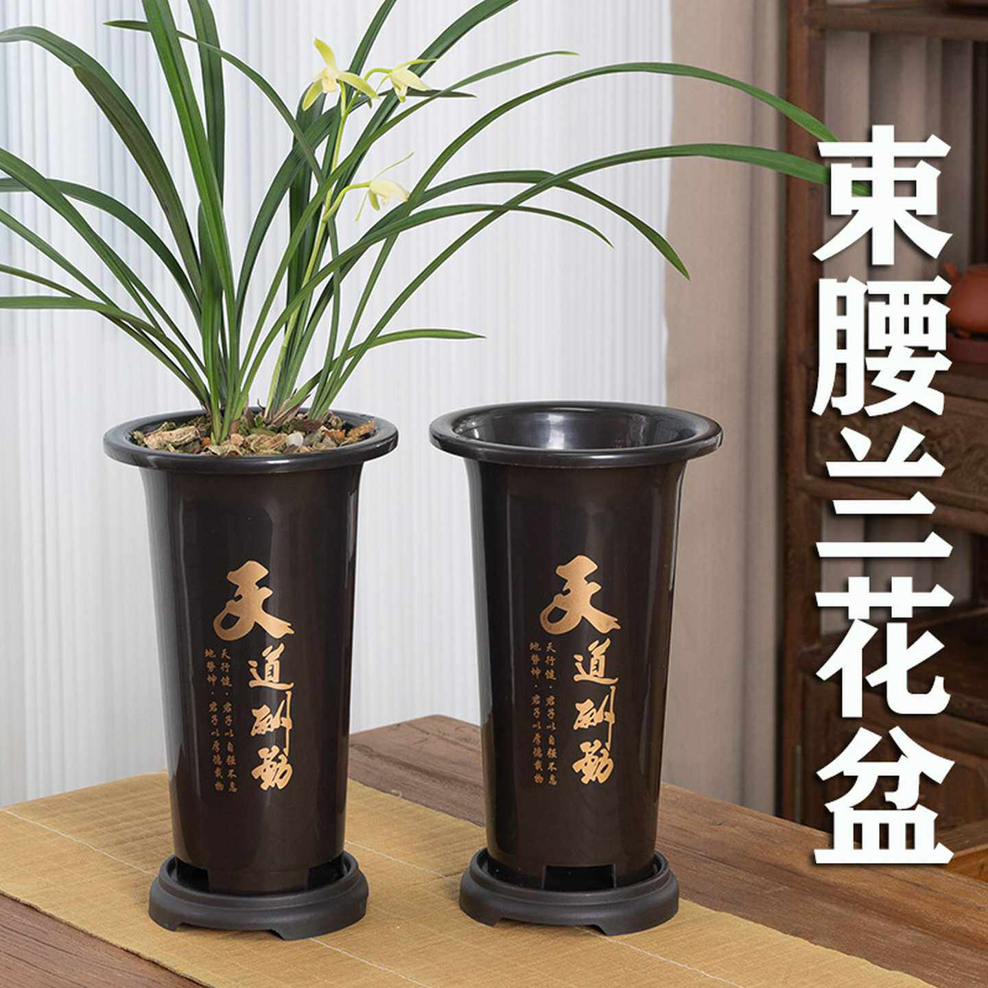 兰花专用盆塑料兰花盆批发特价清仓君子兰仿紫砂花盆加高档兰草盆