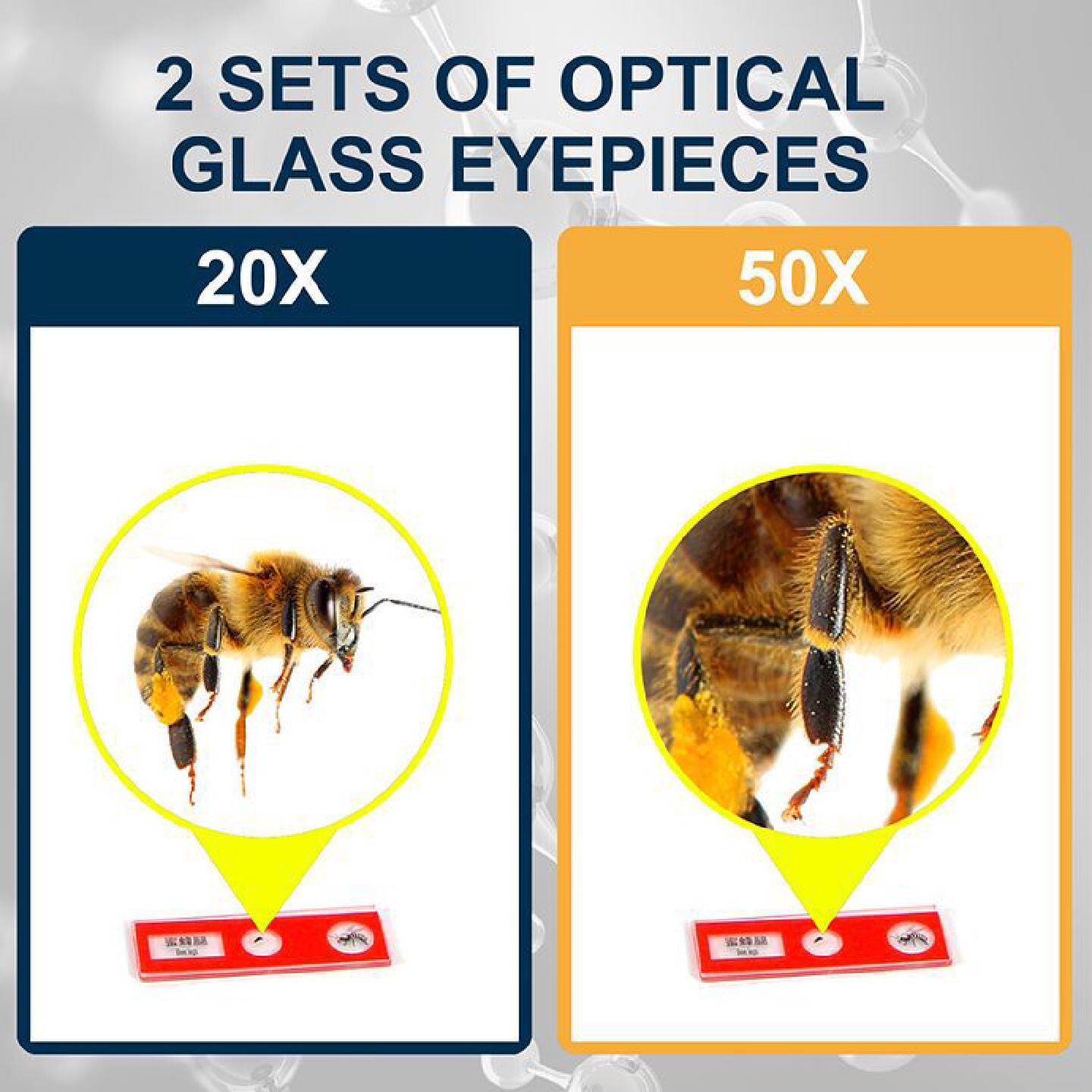 显微镜儿童初中小学生专用业级光学科学实验套装家用高清益智玩具
