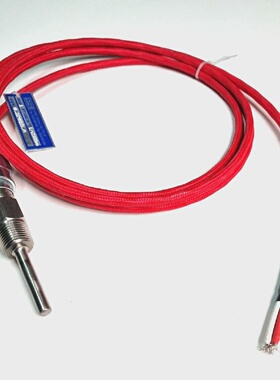 TE.MA PT100 MOD1 PT100 0C100C L2500mm Thermoresistance