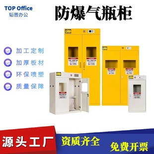 钢制液化气煤气按全储存泄漏检测警报排风防爆柜实验室工业气体柜