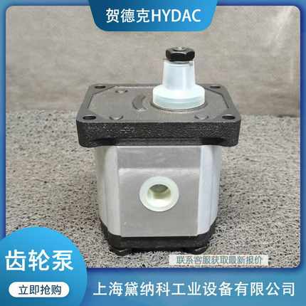 P101-365-RBQ1-N-3700齿轮泵经X销HYDAC贺德克P型液压油泵供