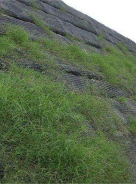生态袋护坡管道加厚编织定制边坡草籽河道园林沙袋防汛绿化连接扣