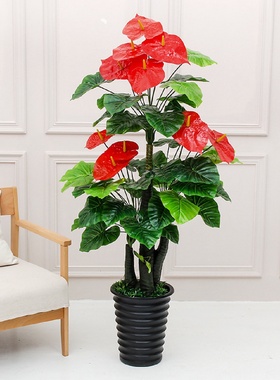 大型室内仿真绿植摆件客厅玄关装饰假花红掌盆栽植物塑料盆景摆饰