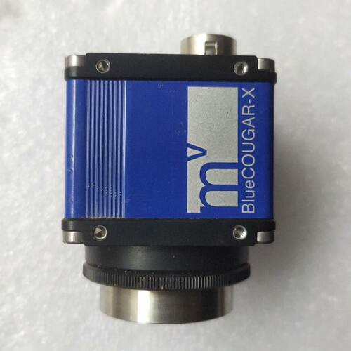 溢价-BlueCOUGARX BCX125AG
