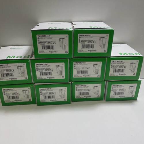 1PC NEW Schneider Modicon logic controller TM2AMO1HT Analog