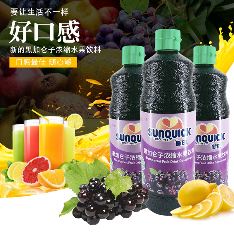 sunquick新的浓缩果汁 黑加仑840ml黑提子浓浆冲饮西餐厅鸡尾酒
