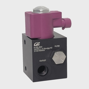 003隔离阀组件24VDC13W1.4Mpa H2氢意大利制 IVL GfiH