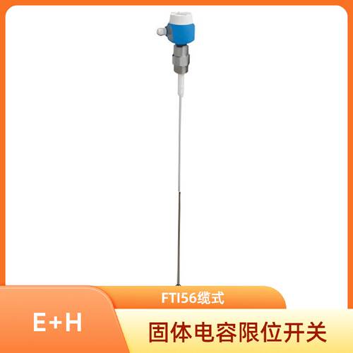 议价EH固体电容料位开关FTI56全绝缘或半绝缘型缆式监视器结构坚
