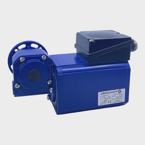 Groschopp WK1695101 Motor Reductor 10452111